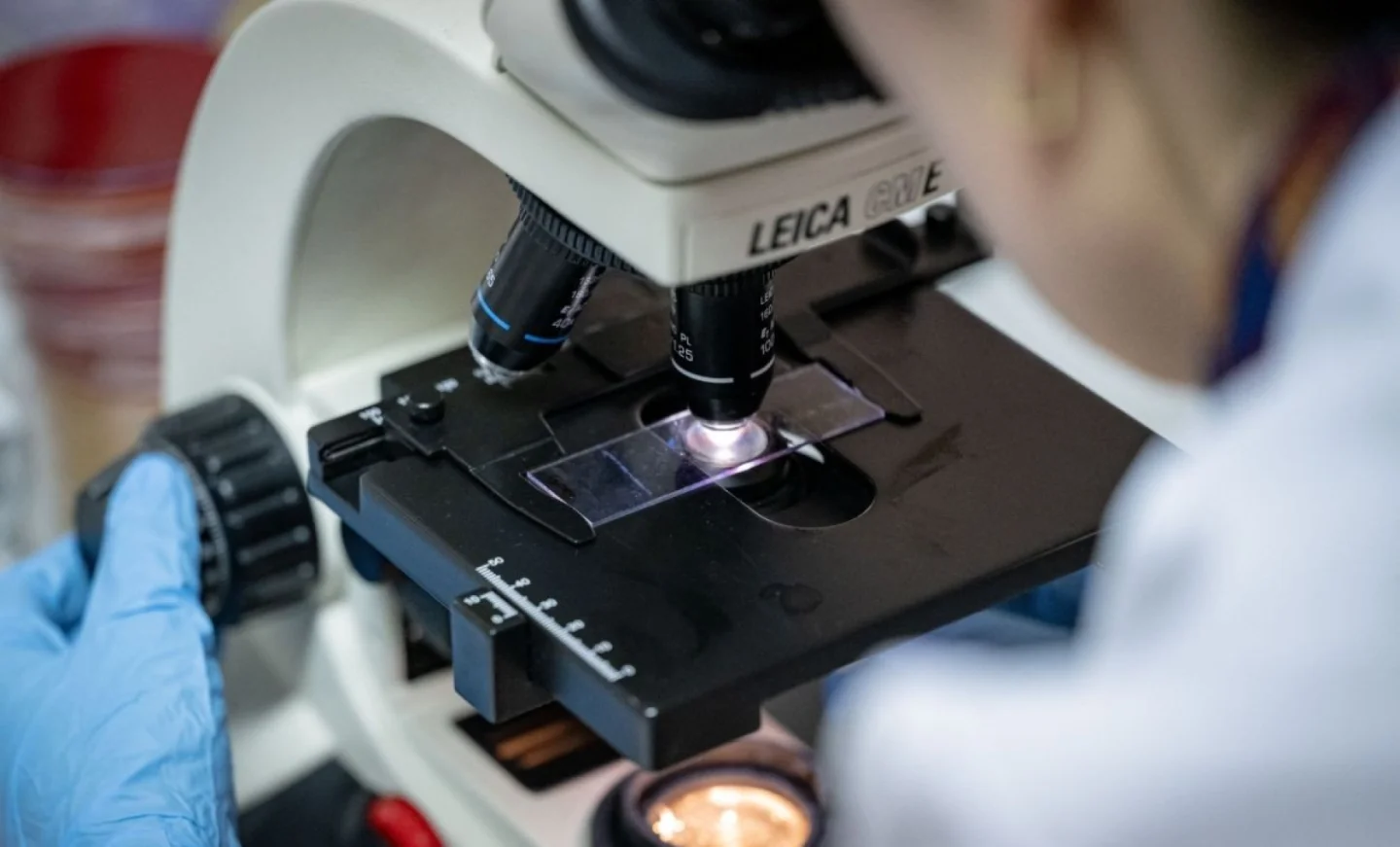 À Aix-Marseille, “Safe Place for Science” accueille les scientifiques exilés des Etats-Unis de Donald Trump