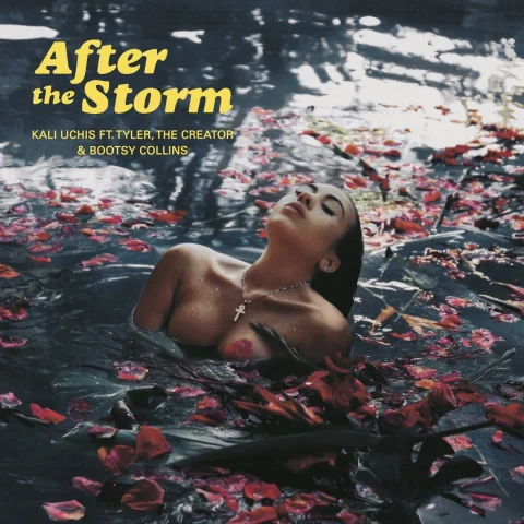 « After The Storm » de Kali Uchis fête ses 5 ans