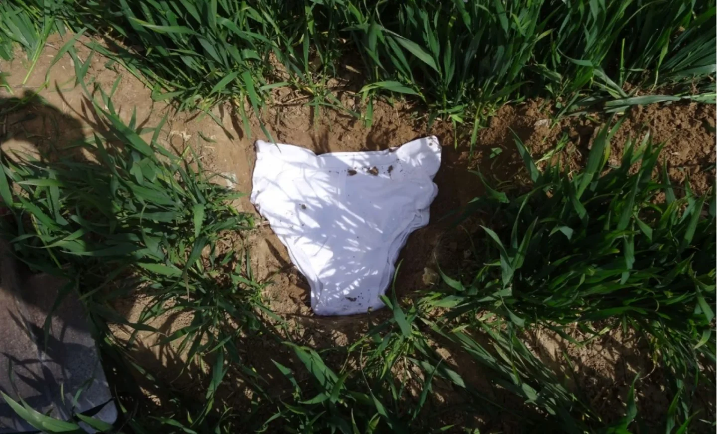 Enterrez vos slips, c’est bon pour la planète !