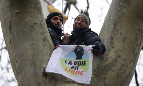 Grimper aux arbres, ça fait longtemps que c’est une action politique