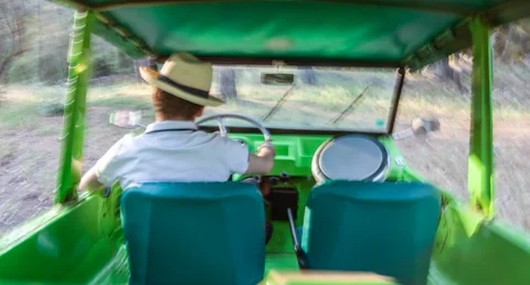 La nouvelle ode à la liberté de Mohamed Lamouri