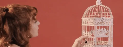 La pop turcophone d’Altin Gün prend un virage disco sur un nouvel extrait