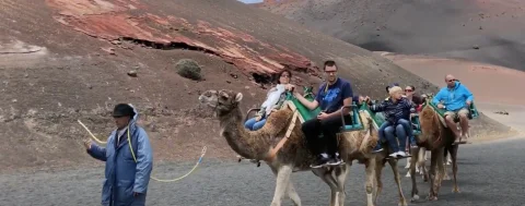 Lanzarote : « Les vacances de Monsieur Houellebecq »