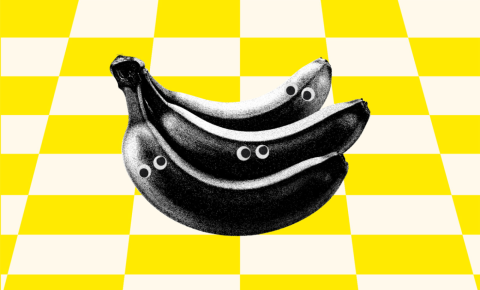 Le Printemps du Rire débarque à Toulouse pour nous donner la banane, tout en sobriété.