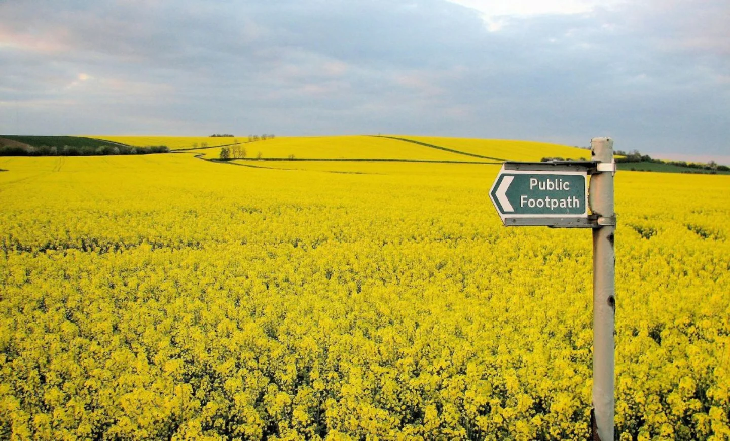 Écologie : notre maison brûle, regardons les anglais
