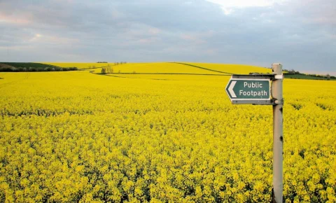 Écologie : notre maison brûle, regardons les anglais