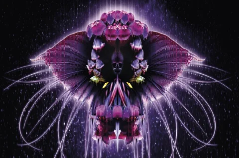 L’ETRANGE FESTIVAL, 28e édition