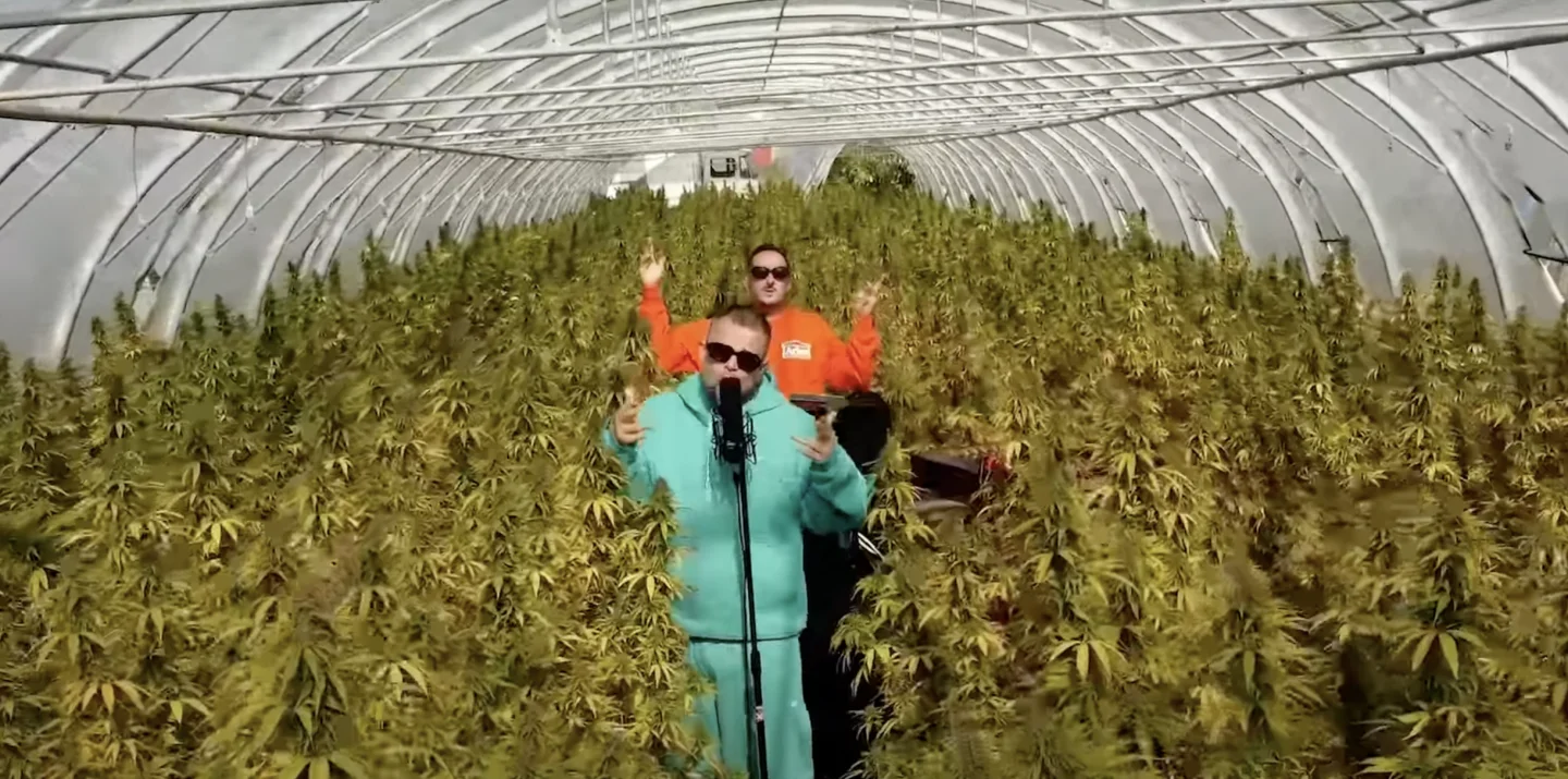 Monter aux arbres avec O.B.F. Soundsystem