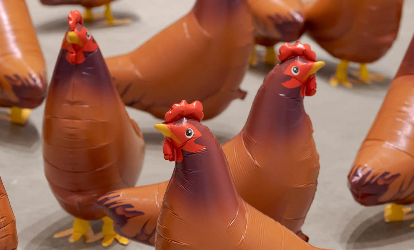 Nova y va : à l’exposition « The Future of the Past » au Bicolore, à Paris