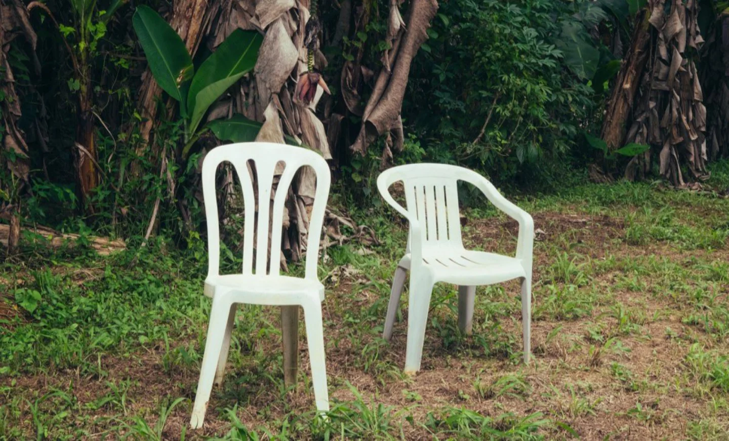 Des cours de Bad Bunny à l’université