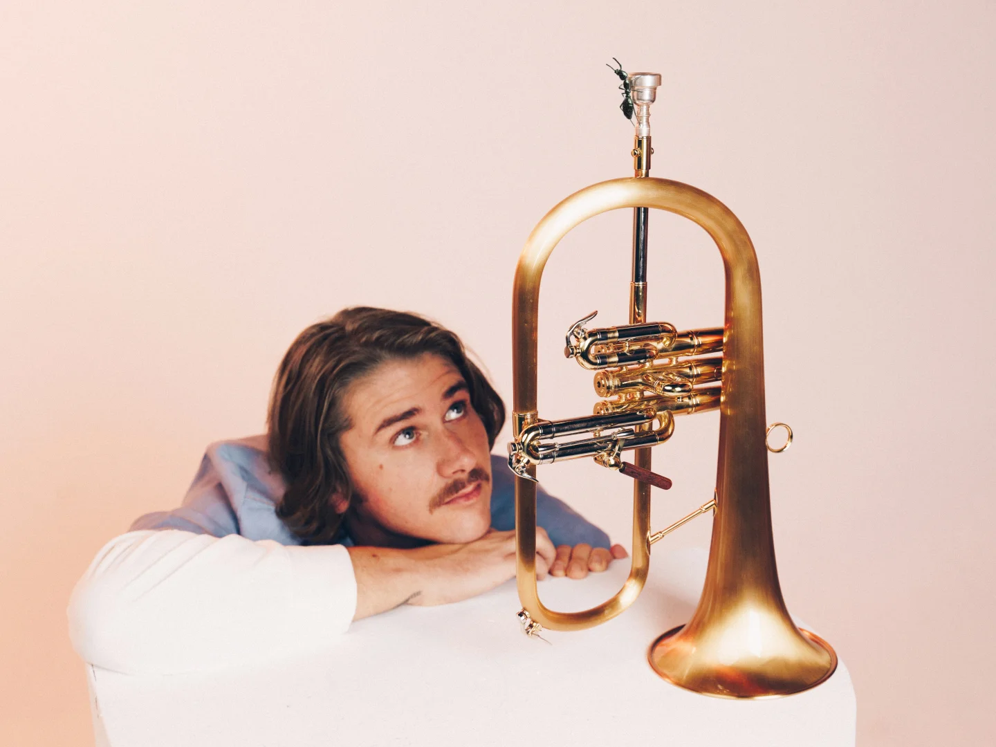 Voyou : Royaumes minuscules et album majuscule