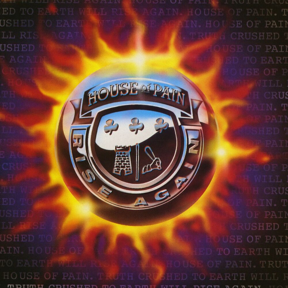 FED UP REMIX FT. GURU