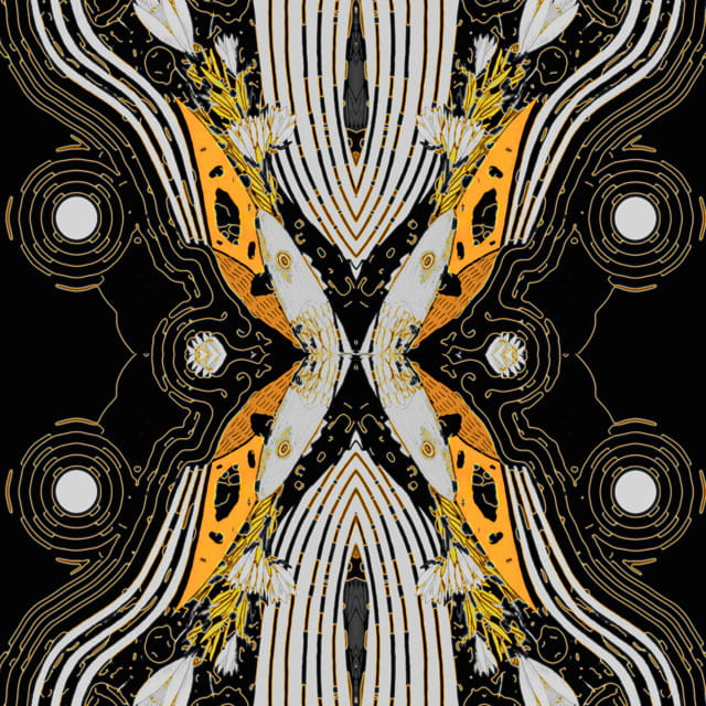 INTERNATIONAL LOVE AFFAIR