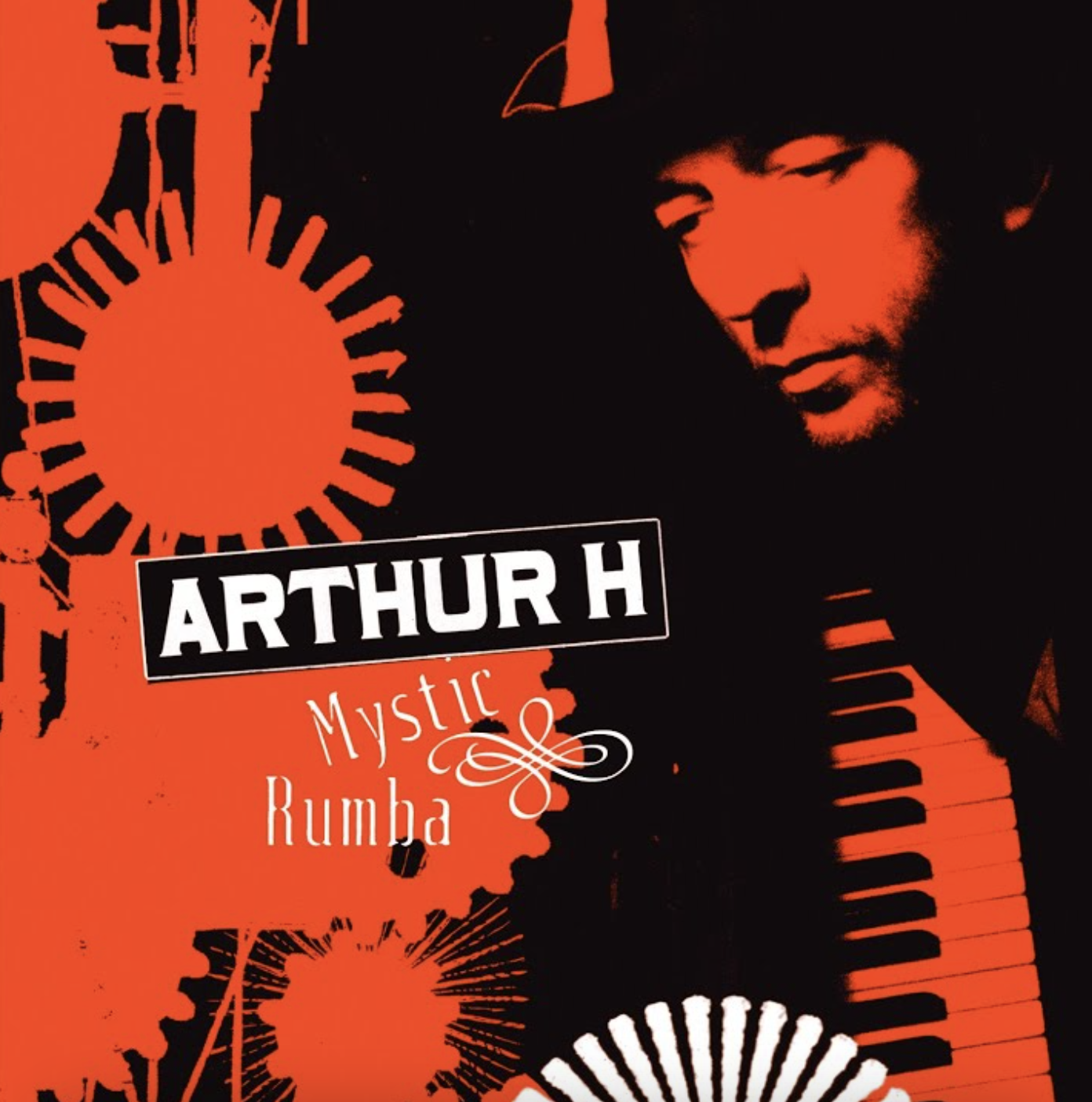 LILY DALE - ACOUSTIQUE -