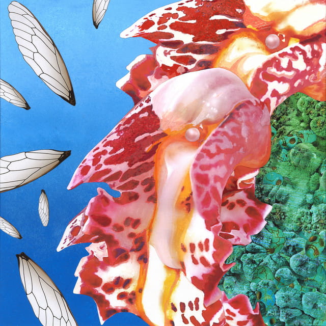 TOUCHE - EAT MY BUTTERFLY REMIX